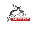 spectact_ logo